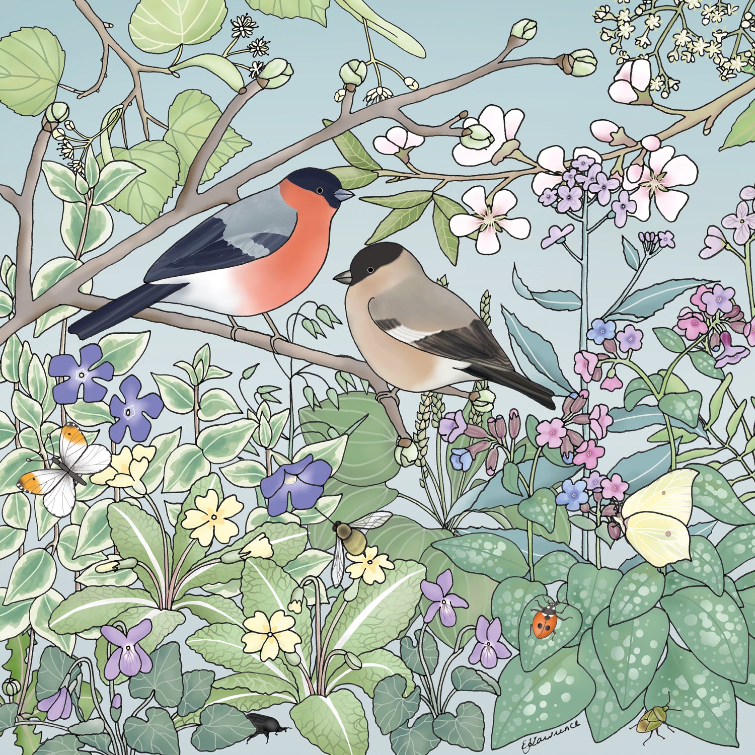 Flora & Fauna Jenny Wren Wooden Jigsaw Puzzle