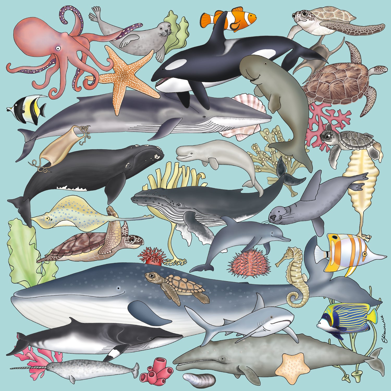 Natural World - Sealife Wooden Jigsaw Puzzle