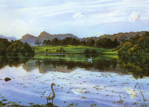 Autumn Light At Loughrigg Tarn Wooden Jigsaw Puzzle