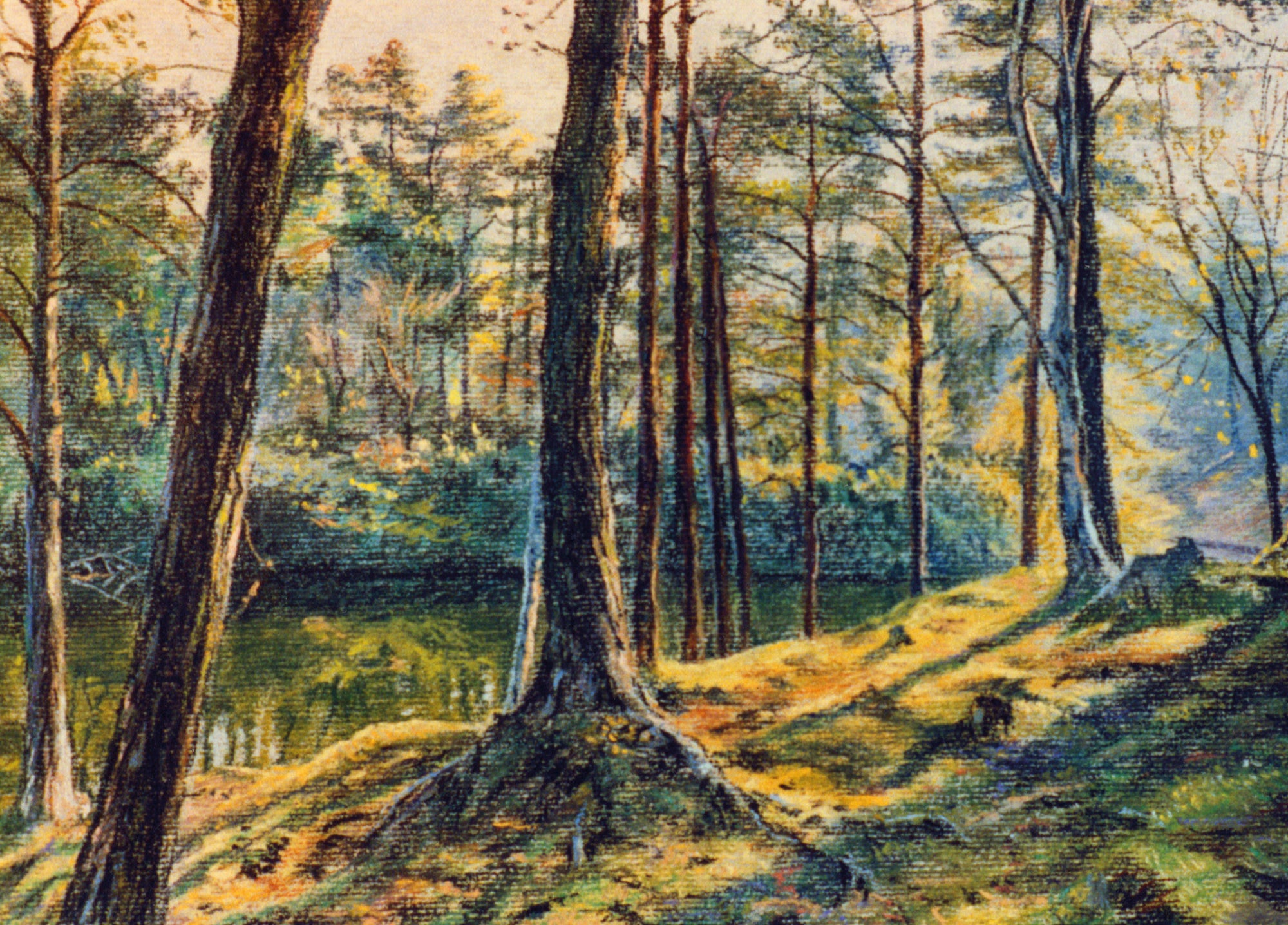 Dappled Light at Tarn Hows Wooden Jigsaw Puzzle
