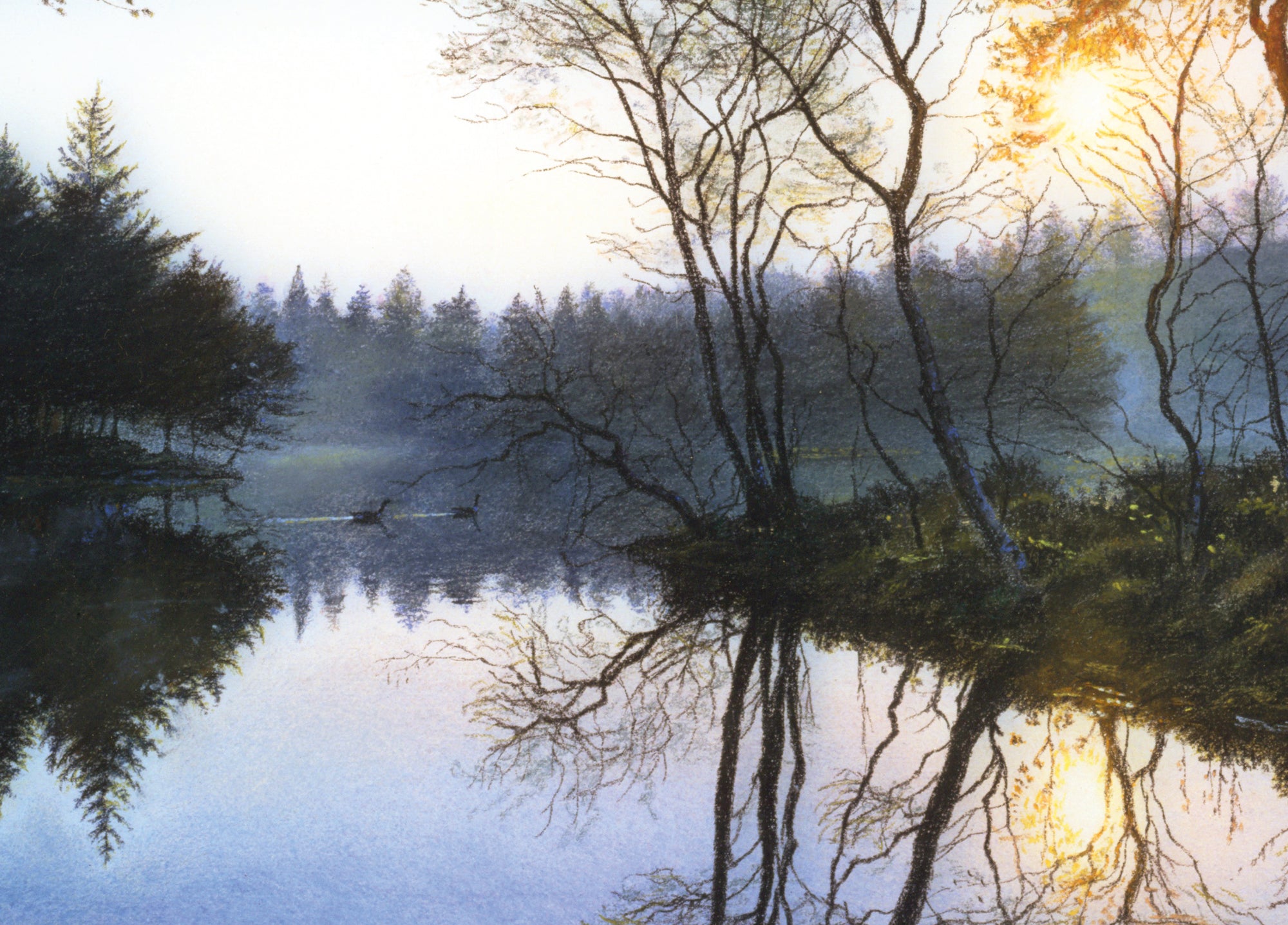Early Morning Light On Tarn Hows Wooden Jigsaw Puzzle